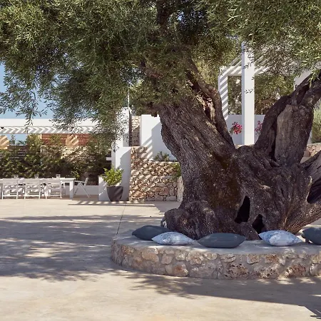 Panoplagia Villa Agios Nikolaos (Zakynthos)